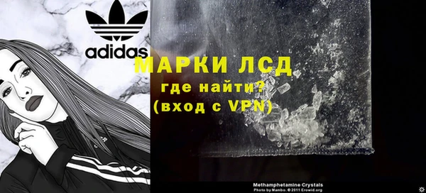 эйфоретик Баксан